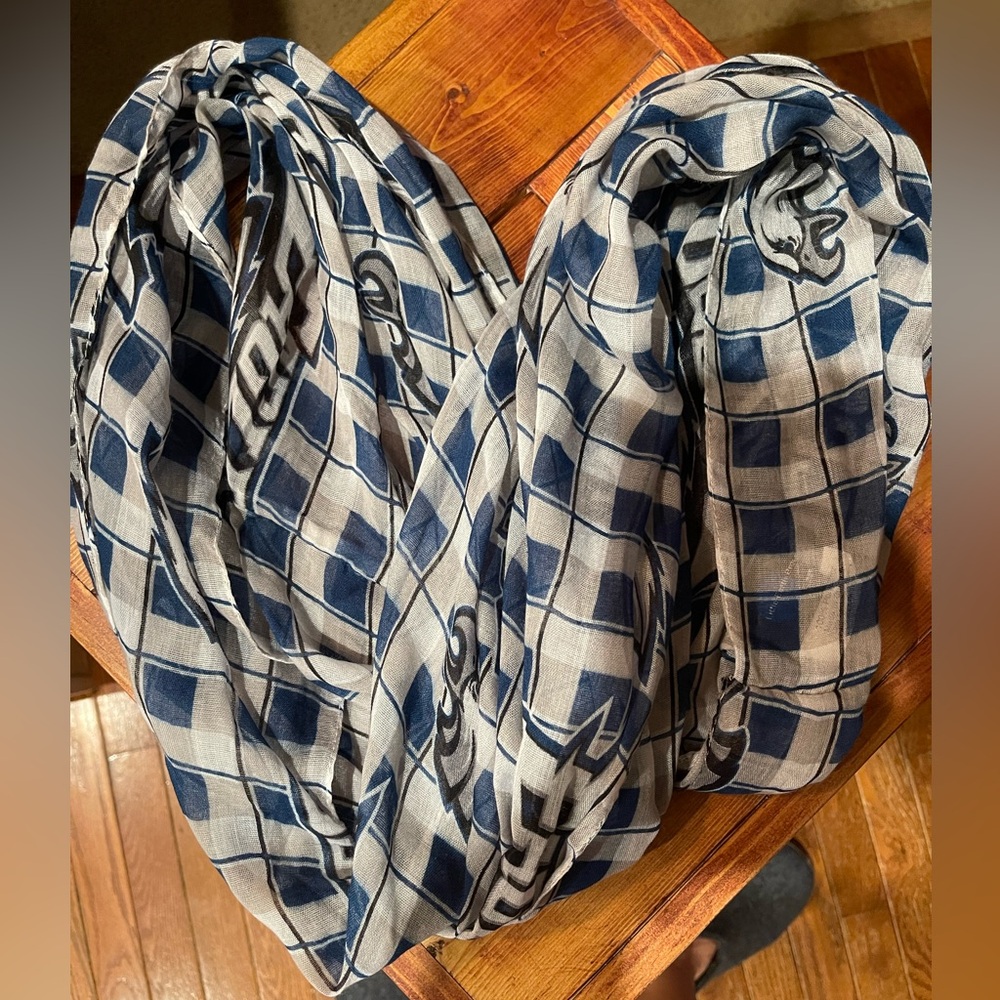 Philadelphia Eagles infinity scarf